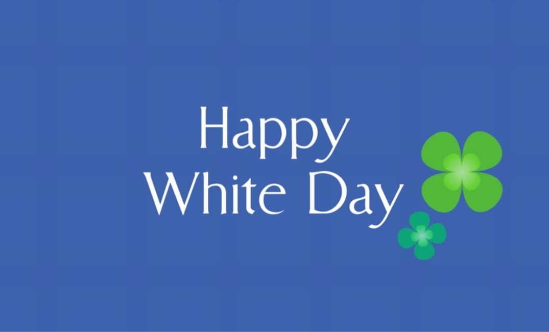 �ڥۥ磻�ȥǡ��ۥ������С�