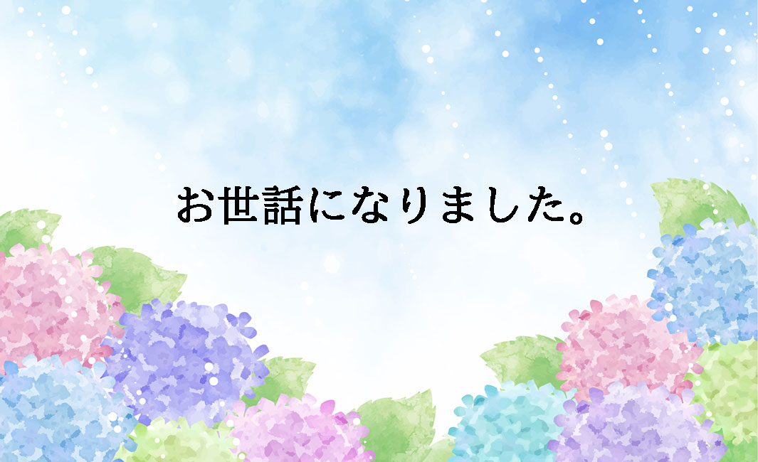 【お世話】紫陽花