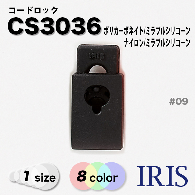 CS3035���������CS3036