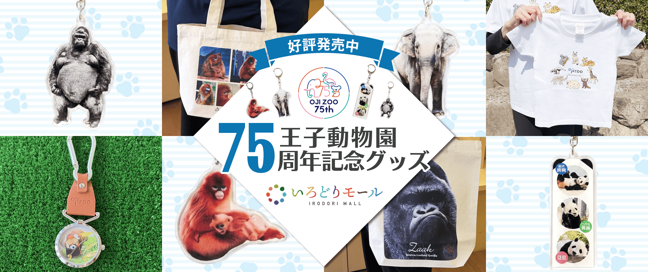 ����ưʪ��75��ǯ