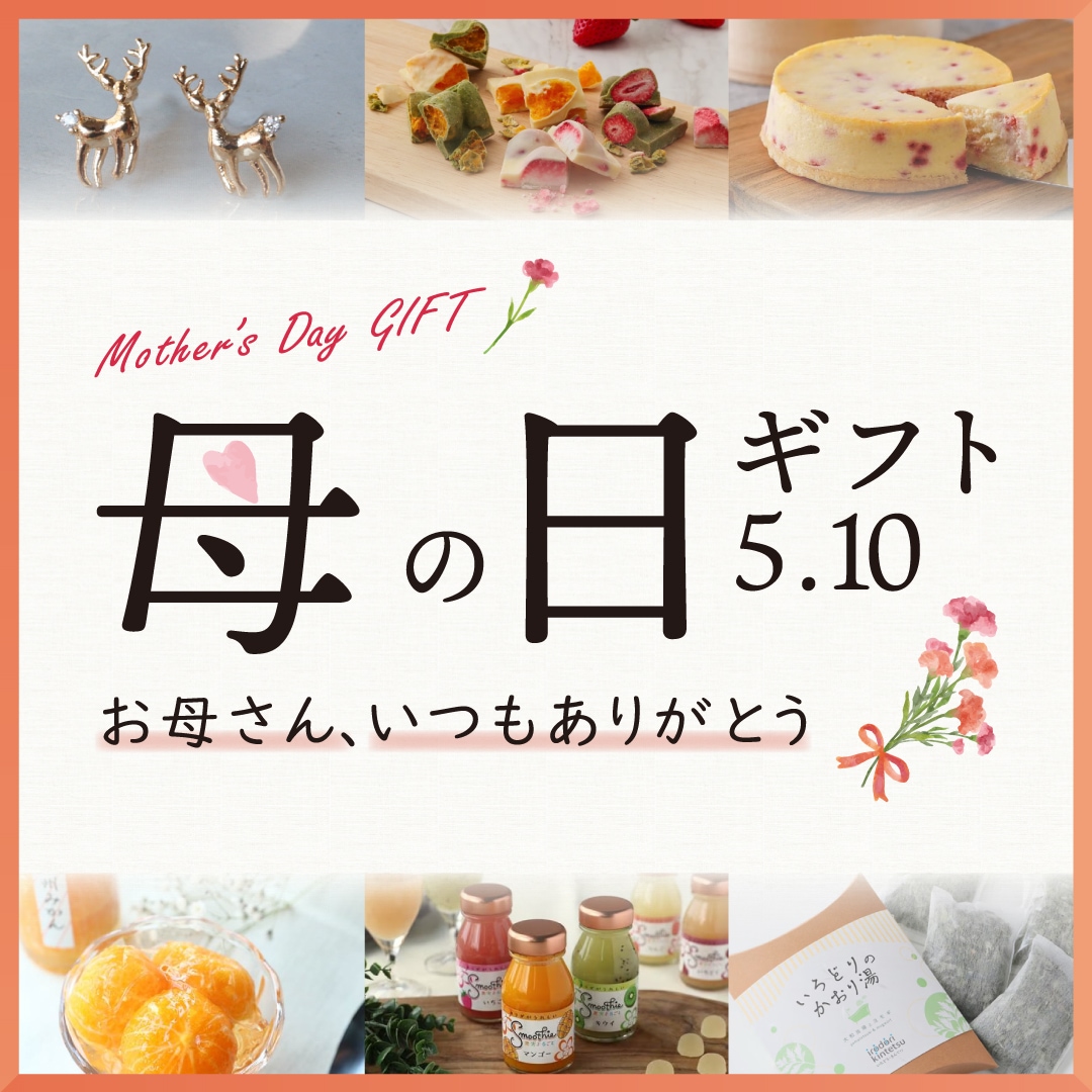 ������ý�2026