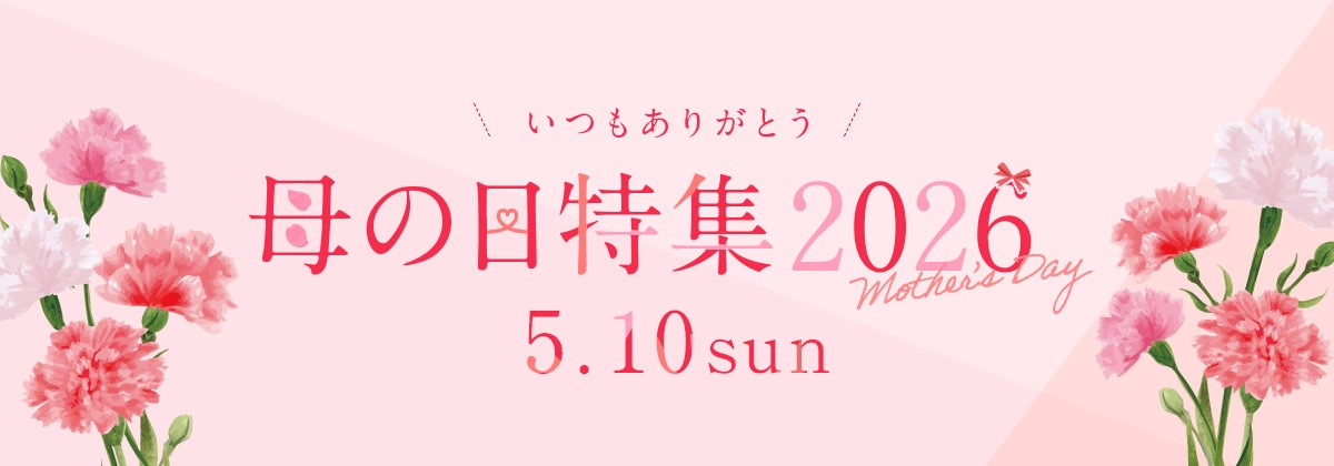 ������ý�