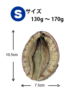 Sサイズ130~170g
