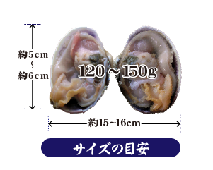 120～150g、大きさの目安：高さ：5～6cm、幅：開いた状態で15～16cm