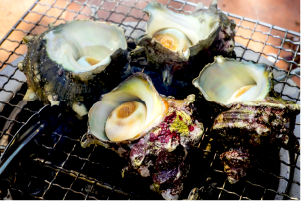 ボイルさざえのお召上がり方!ちょっとしたコツ教えます