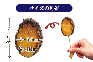 あわび串のサイズの目安 約40g　幅5～5.5cm 高さ7～7.5cm 