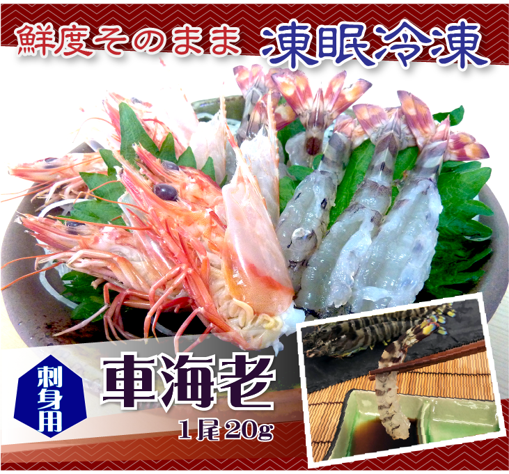 鮮度そのまま、凍眠冷凍 車海老 1尾20g