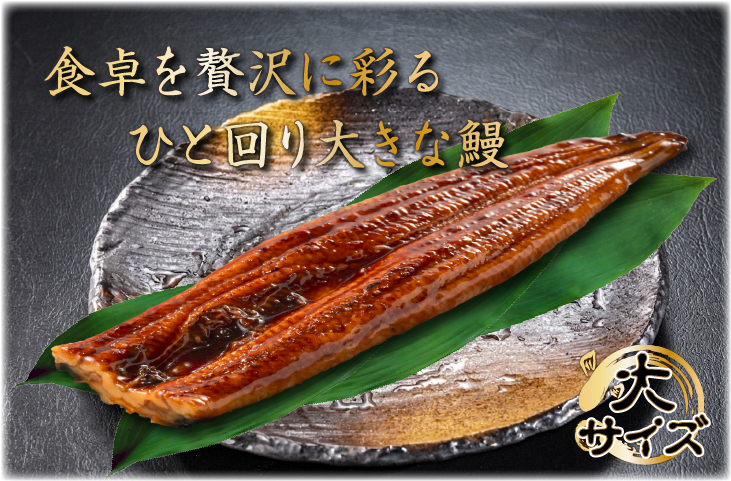 食卓を贅沢に彩る、ひとまわり大きな鰻。