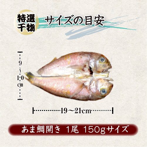 サイズの目安