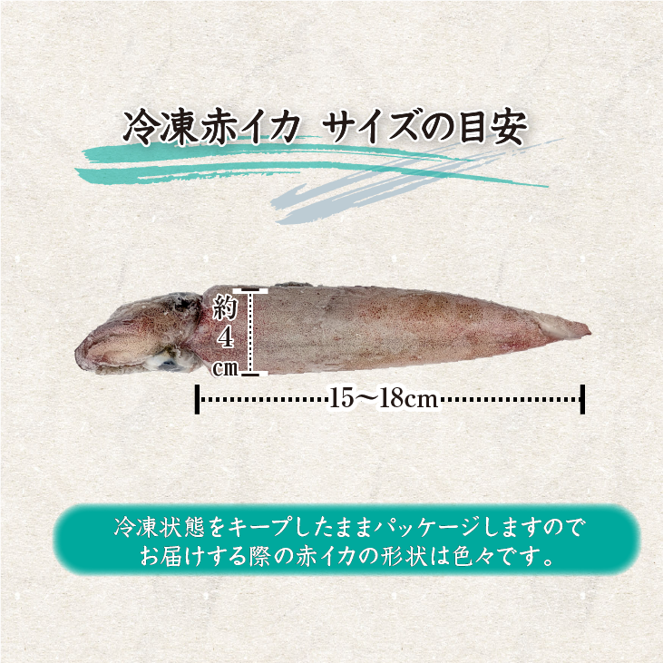 冷凍 赤イカ サイズの目安