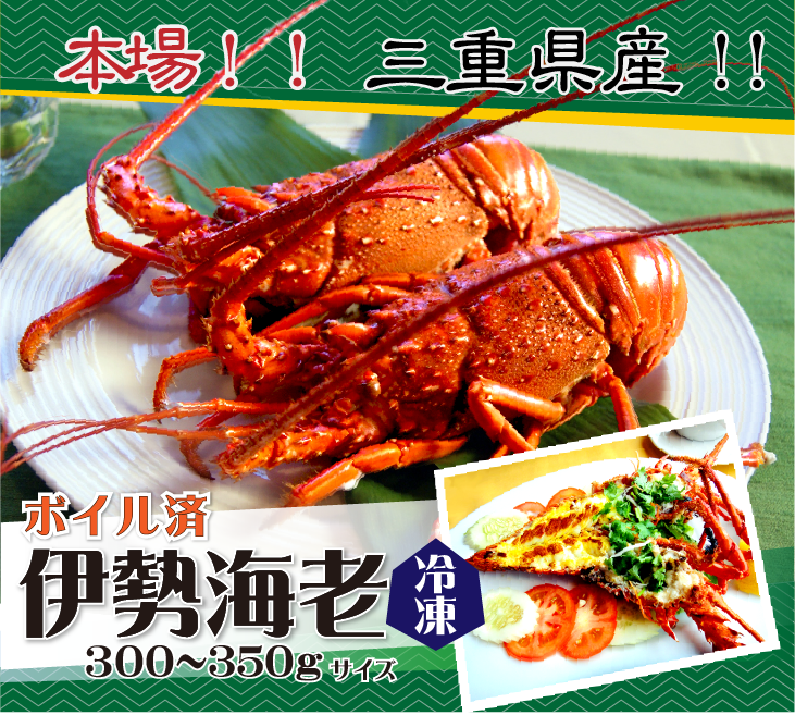 本場 三重県産！！ ボイル済 冷凍 伊勢海老300～350g