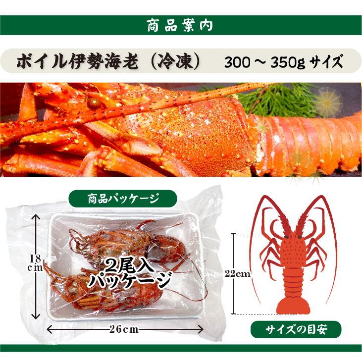 ボイル伊勢海老（冷凍）商品案内