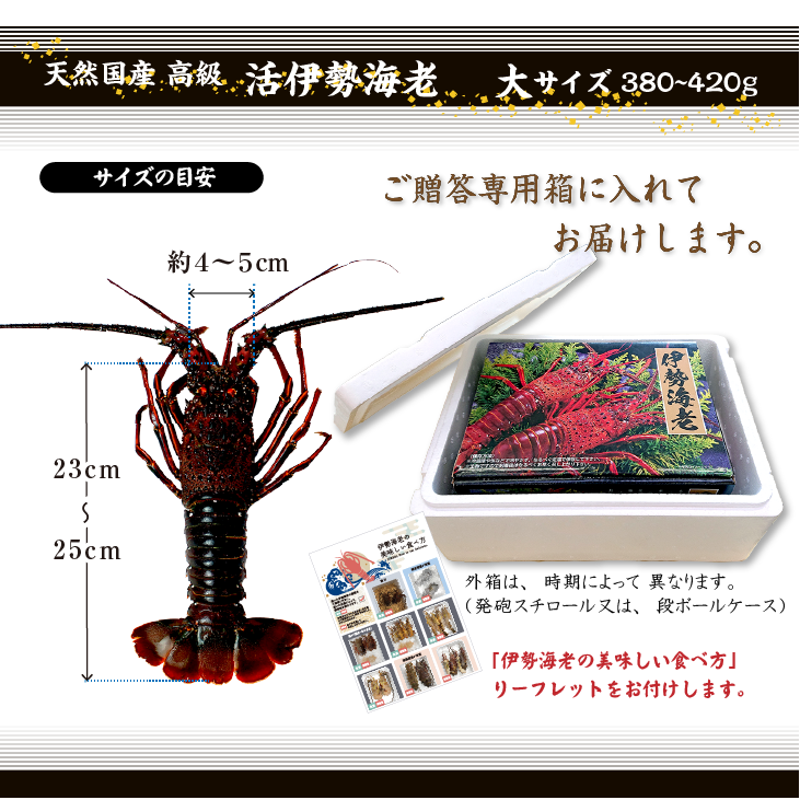 活け伊勢海老 商品・梱包内容