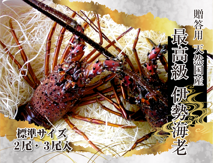 高級 天然国産 伊勢海老