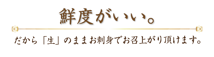 鮮度がいい。だから生のまま、お刺身でお召上がり頂けます。