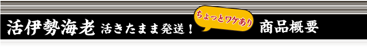 活け伊勢海老 活きたまま発送（ワケアリ）商品概要
