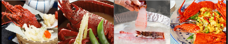 お刺身の他にも！伊勢海老お料理