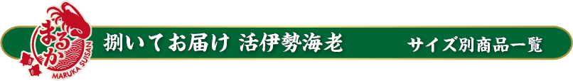 伊勢海老サイズ比較表（重量・サイズはおおよその目安です。）