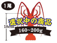 伊勢海老の重さ:160~200g