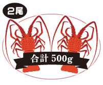 伊勢海老 2尾入 合計:500g