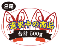 伊勢海老 2尾入 合計:500g