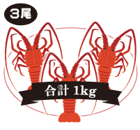 伊勢海老 3尾入 合計:1kg