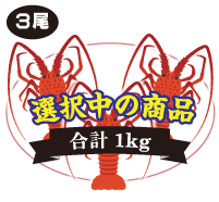 伊勢海老 3尾入　合計：1kg