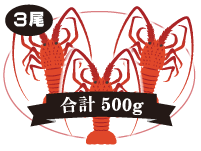 伊勢海老 3尾入 合計:500g