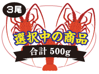 伊勢海老 3尾入　合計：500g
