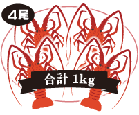 伊勢海老 4尾入 合計:1kg