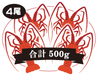 伊勢海老 4尾入 合計:500g