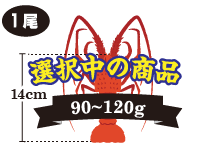選択中の伊勢海老
