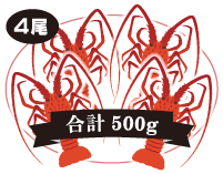 4尾入 合計500g