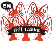 5尾入 合計1.25kg