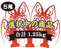 5尾入 合計1.25kg