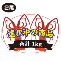 2尾入 合計1kg