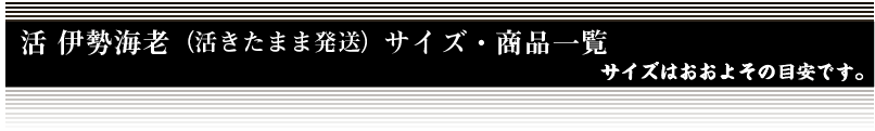 活け伊勢海老（活きたまま発送）サイズ商品一覧表