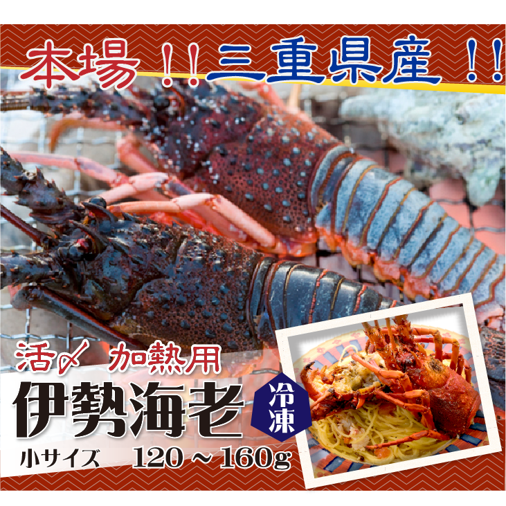 本場 三重県産！！ 活〆冷凍 伊勢海老（加熱用）少々サイズ90~120g