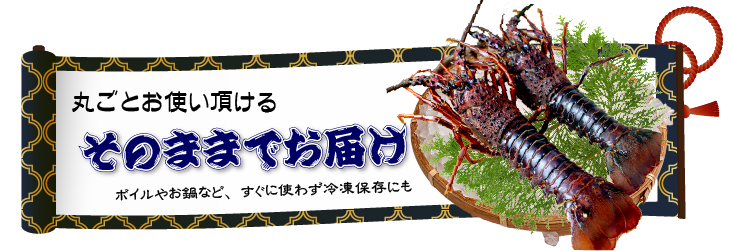 そのまま丸ごとでお届け（加工なし）