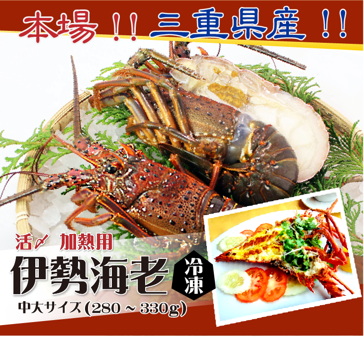 本場 三重県産！！ 活〆冷凍 伊勢海老（加熱用）少々サイズ90~120g