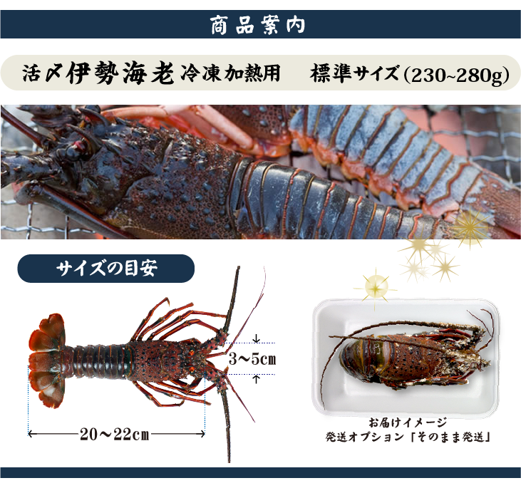 冷凍 活〆伊勢海老（加熱用）小サイズ160～200g 商品案内