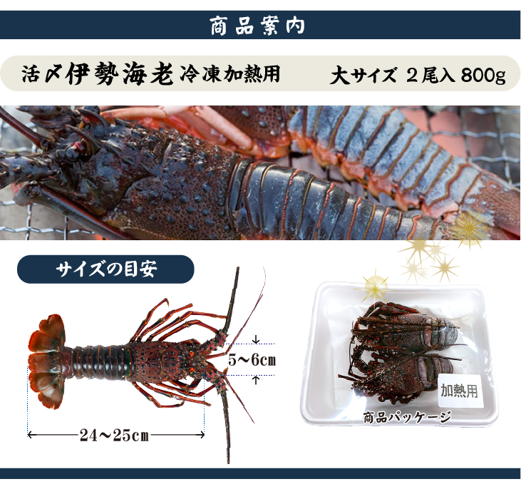 冷凍 活〆伊勢海老（加熱用） 商品案内