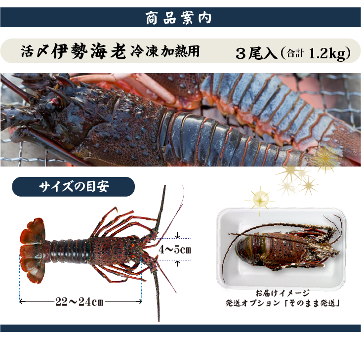 冷凍 活〆伊勢海老（加熱用） 商品案内