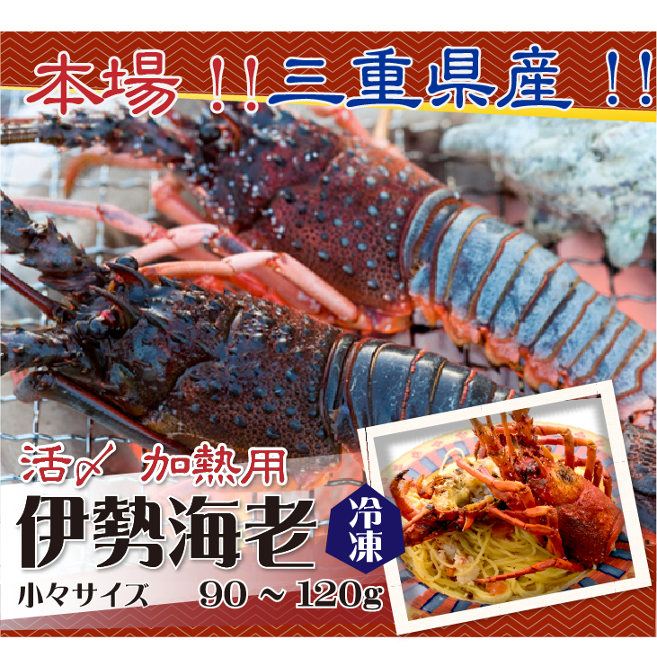 本場 三重県産！！ 活〆冷凍 伊勢海老（加熱用）少々サイズ90~120g
