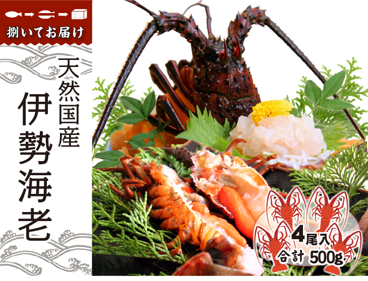天然国産伊勢海老 捌いてお届けします。1尾 330～380g