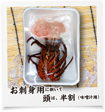 お刺身用に捌いて、頭は半割（味噌汁用に）