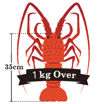 伊勢海老の重さ：1kg以上