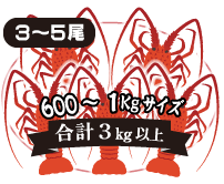 3～5尾入 3kg