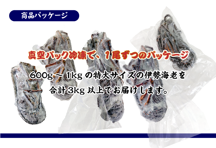 凍眠冷凍 伊勢海老（刺身用）特大サイズ 2尾入 1.0ｋg 商品案内