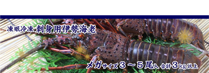 凍眠冷凍 伊勢海老（刺身用）特大サイズ 2尾入 1.0ｋg 商品案内